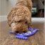 Örva Puffer Fish Lick Mat – textured slow-feeding mat with suction cups and playful puffer fish shape.
