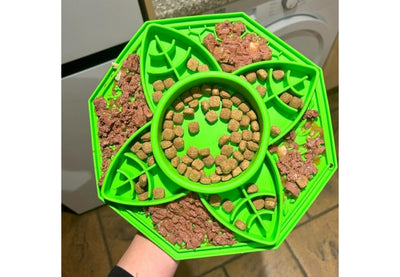Ancol Orva Slow Feeder For Dogs Leaf Design
