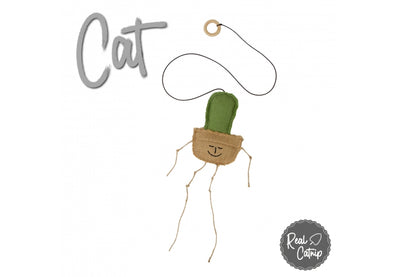 Ancol Interactive Cat Cactus – 60cm Cat Dangler Toy