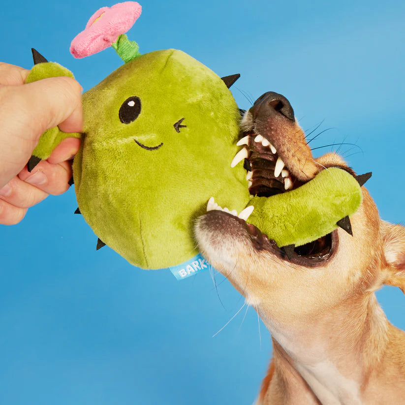 BARK Consuela The Cactus Dog Toy – Plush Rip & Reveal Toy with Hidden Squeaker Ball