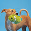 BARK Consuela The Cactus Dog Toy – Plush Rip & Reveal Toy with Hidden Squeaker Ball