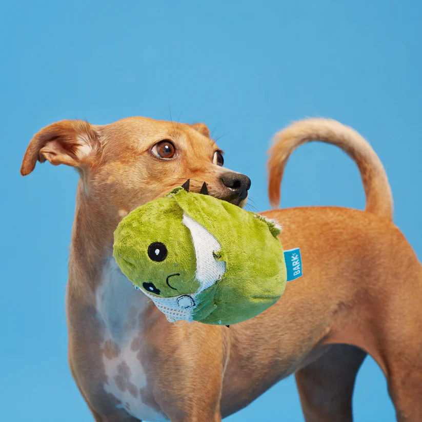 BARK Consuela The Cactus Dog Toy – Plush Rip & Reveal Toy with Hidden Squeaker Ball