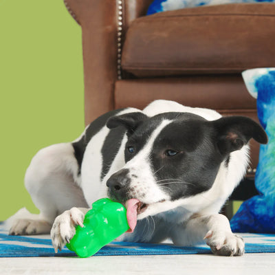 BARK Super Chewer Munchie the Bear Dog Toy – Green Rubber Treat-Dispensing Toy