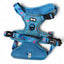 Step-in tactical dog harness with teal peacock feather design – flat lay