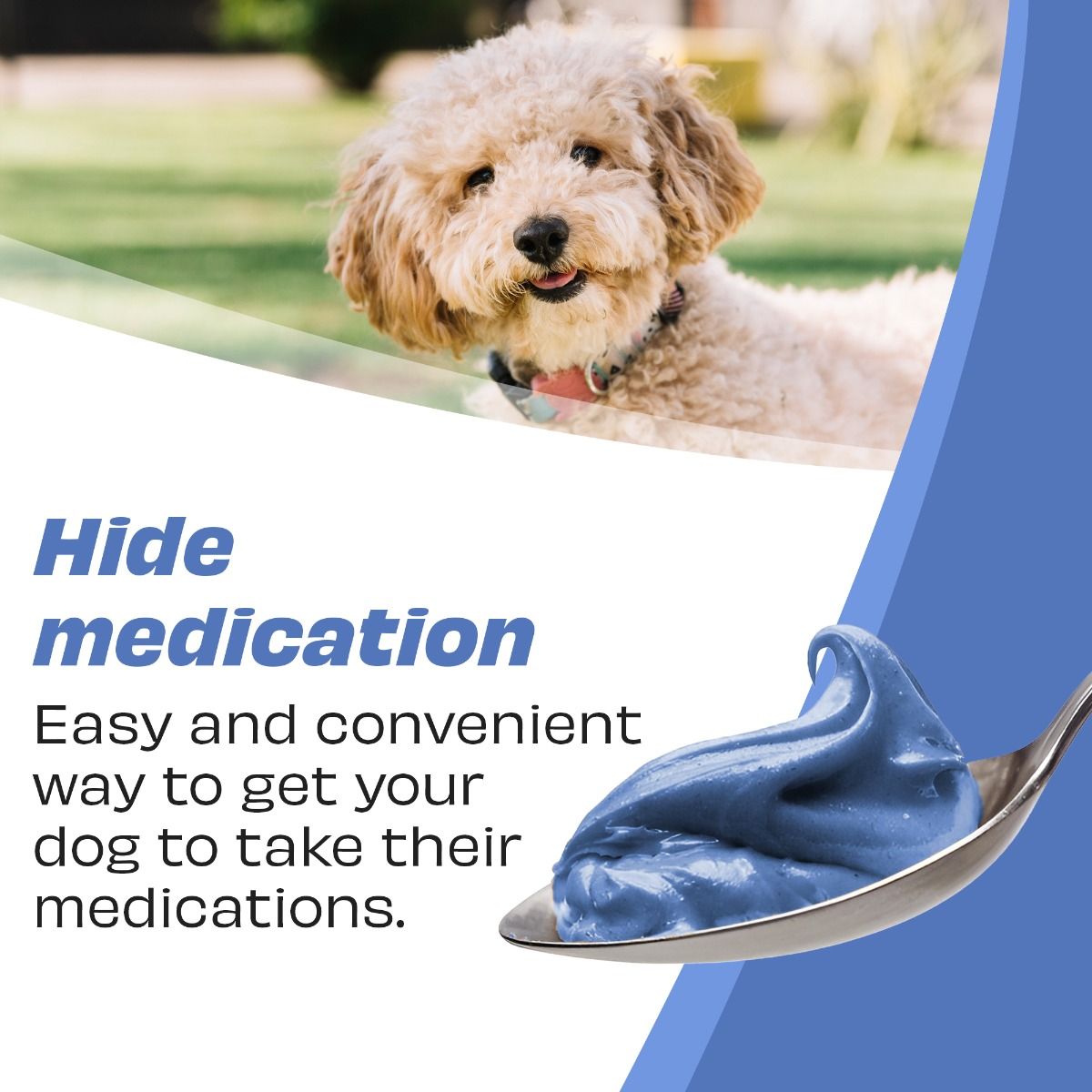 Pawfect Peanut Butter For Dogs: Blueberry & Hempseeds 275g