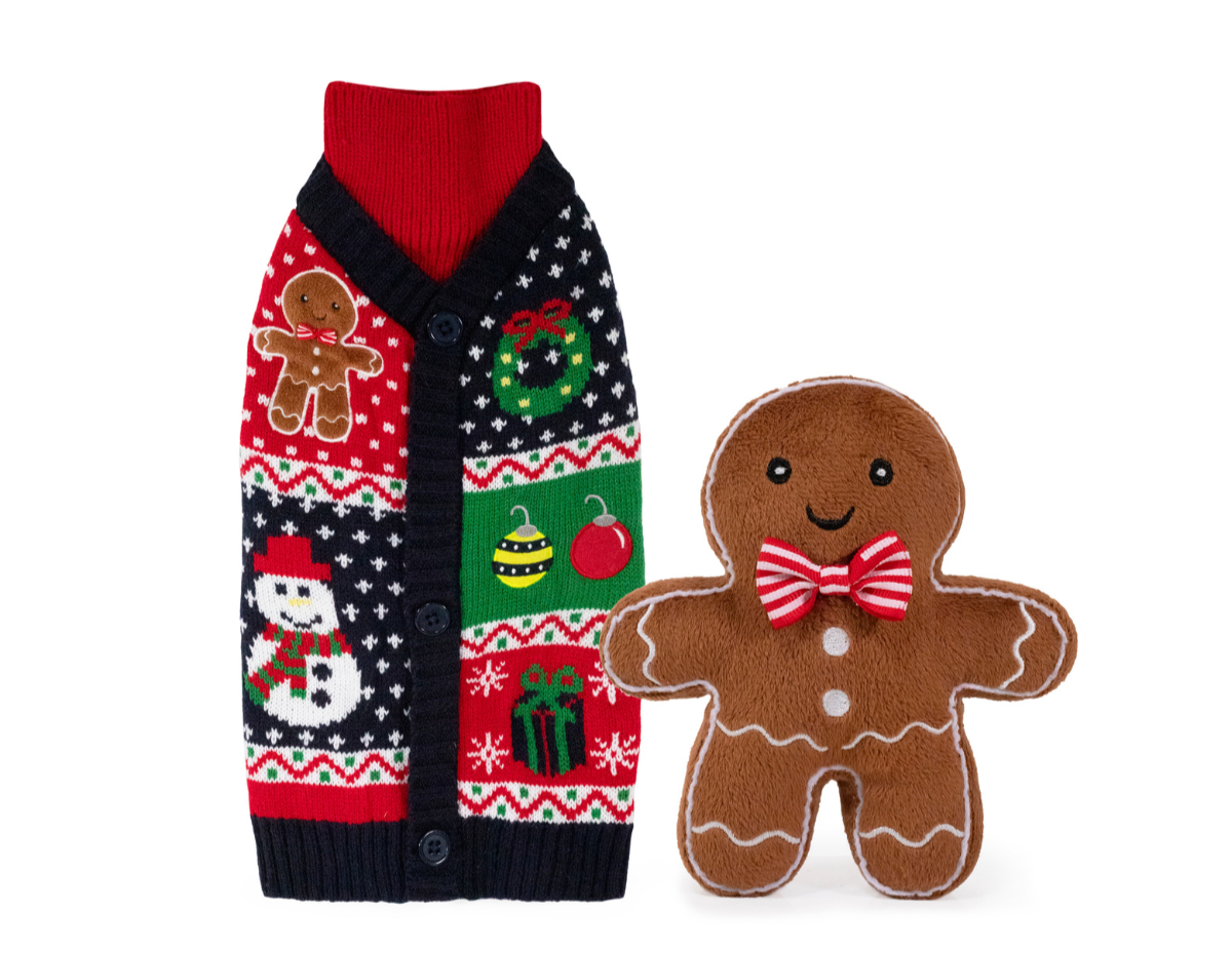 Cupid & Comet Christmas Eve Gift Box for Dogs