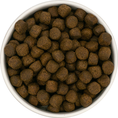 Blake’s Luxury Grain Free Large Breed Puppy Salmon dog food – natural, hypoallergenic kibble with sweet potato for healthy growth
