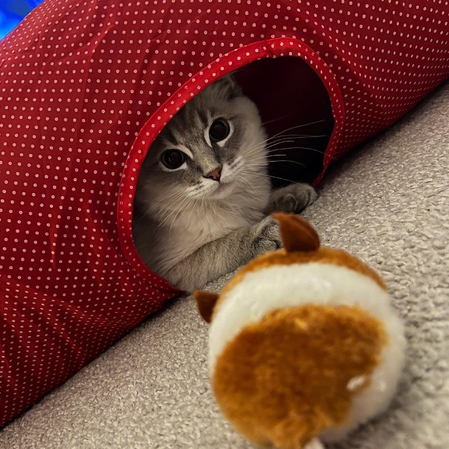 Ancol Jittery Mouse Cat Toy