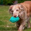 Örva Hedgehog Treat Toy – Interactive Enrichment Chew Toy for Dogs