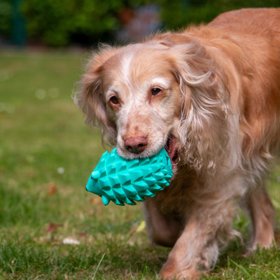 Örva Hedgehog Treat Toy – Interactive Enrichment Chew Toy for Dogs