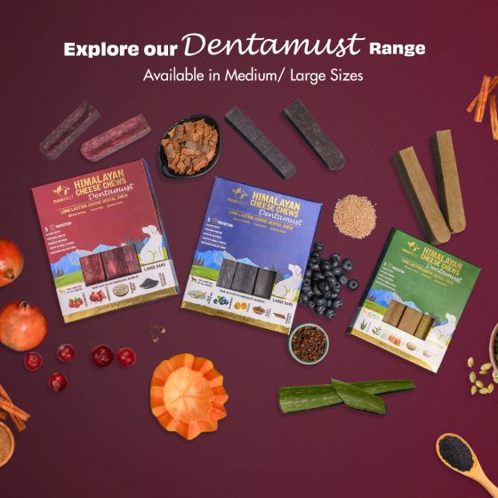 Himalayan Cheese Chews For Dogs - Dentamust Cranberry 3 Pack