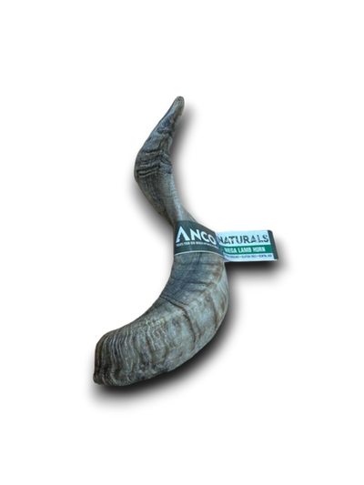 Anco Naturals Mega Lamb Horn – a curved, natural lamb horn dog chew with label, ideal for strong chewers seeking a long-lasting, low-fat treat.
