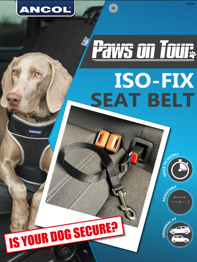 Ancol Paws on Tour ISOFIX seat belt for dogs shown in use with harnessed dog and installed in car, adjustable and easy to fit for safe pet travel