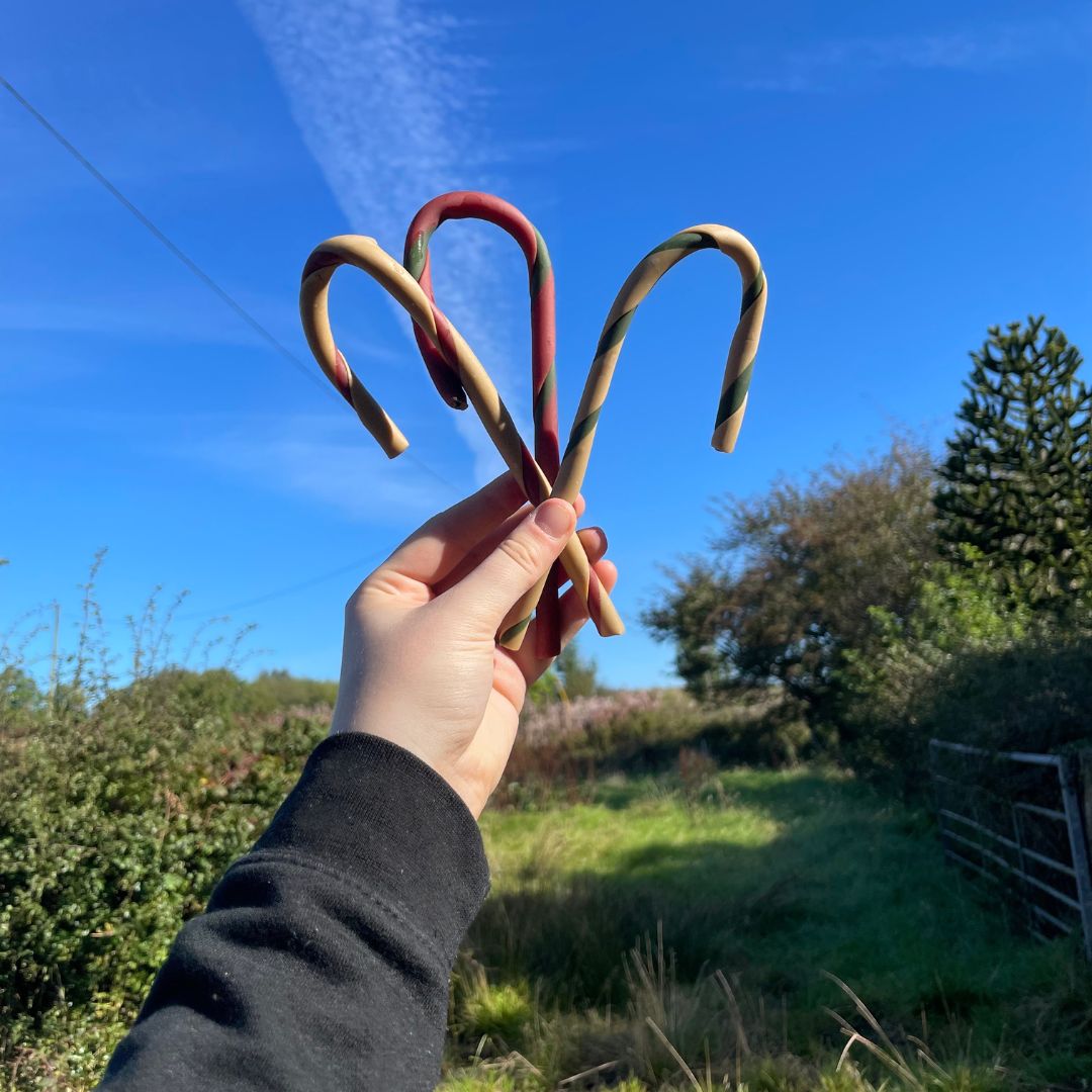 Hand holding three candy canes against a blue sky with trees in the background