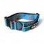 Pup Chic Boutique Power Peacock Adjustable & Tactical Dog Collars (XS–XL) – Bold Style for Every Size