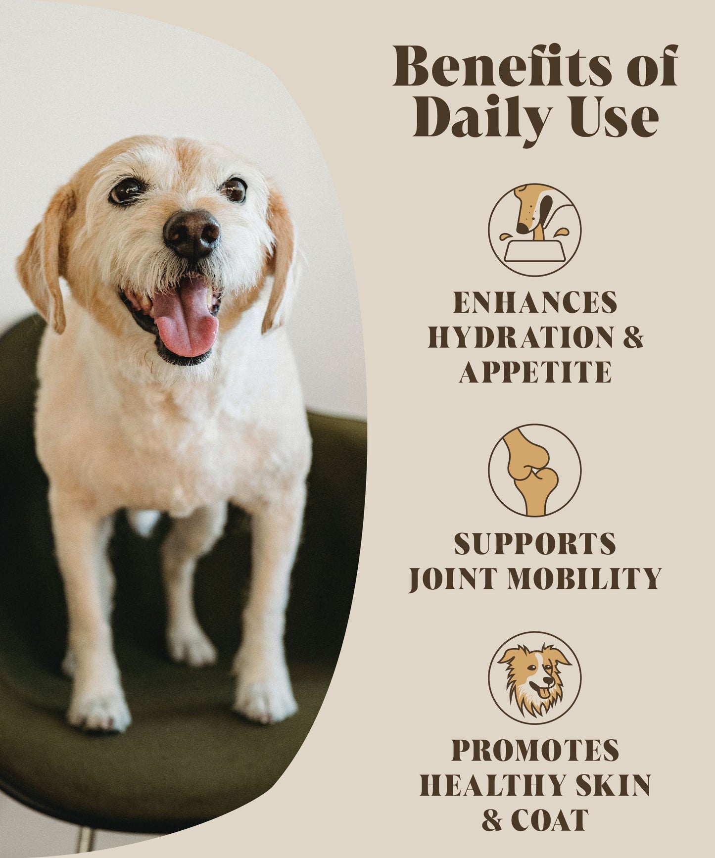 Hackney Dog House - Chicken Bone Broth Powder