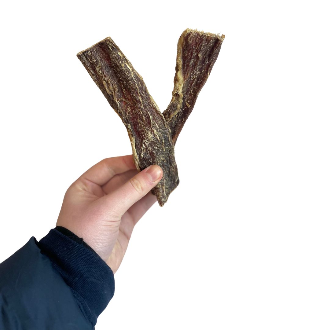 Hand holding two 15cm Buffalo Flat Gullet chews – natural dog treats with lean texture