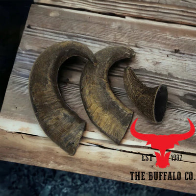 Buffalo Horn-Large (6-8 inch)-Dog Treats