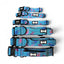 Pup Chic Boutique Power Peacock Adjustable & Tactical Dog Collars (XS–XL) – Bold Style for Every Size