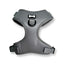 Gray dog harness on a white background