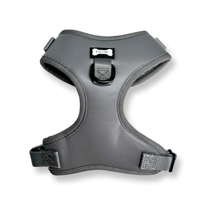 Gray dog harness on a white background