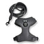 Gray dog harness and leash set on a white background