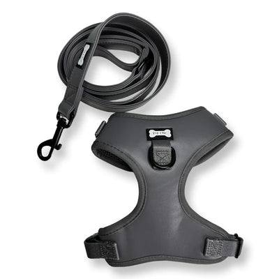 Gray dog harness and leash set on a white background