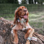 Anco Collagen Roll - Natural Dog Treat