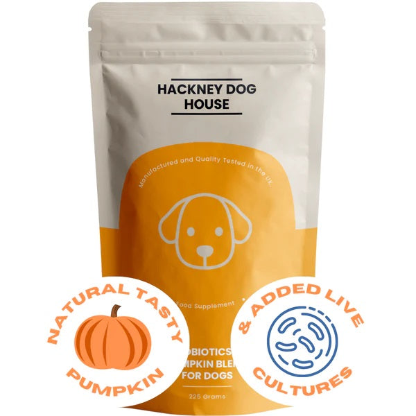 Pumpkin Powder For Dogs