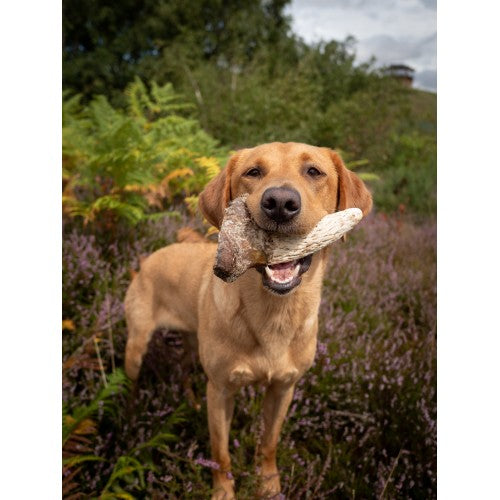 Anco Naturals Cow Horn Marrow – Fat-Free Crunchy Dental Chew