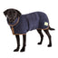 Dog wearing Ruff and Tumble Country Dog Drying Coat in French Navy with corduroy trim