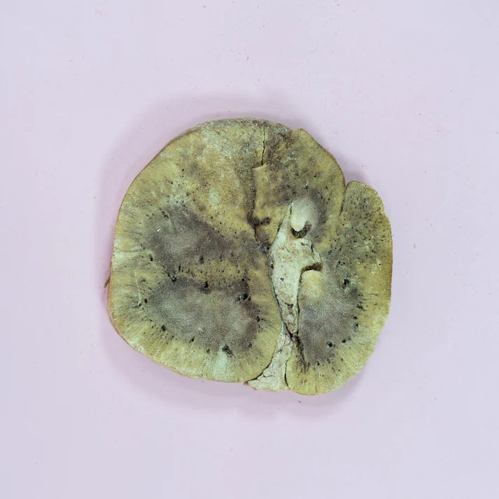 Natural freeze-dried beef kidney treats suitable for dogs and cats