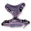 Pup Chic - Daydreams & Unicorns Range -  Harnesses, Collars, leads etc