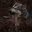 Large wolf-like dog chewing an Anco Giant Buffalo Biltong while perched on a fallen log, highlighting size and toughness of the natural chew.