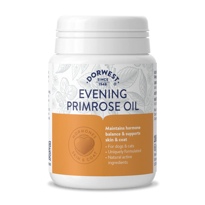  Bottle of Dorwest Evening Primrose Oil for dogs and cats, labelled for hormonal and skin support with 100 capsules

