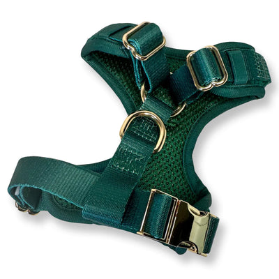 Pup Chic - Emerald city - Harnesses, Leads, Etc