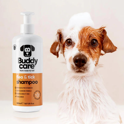 Buddy Care Flea & Tick Shampoo For Dogs