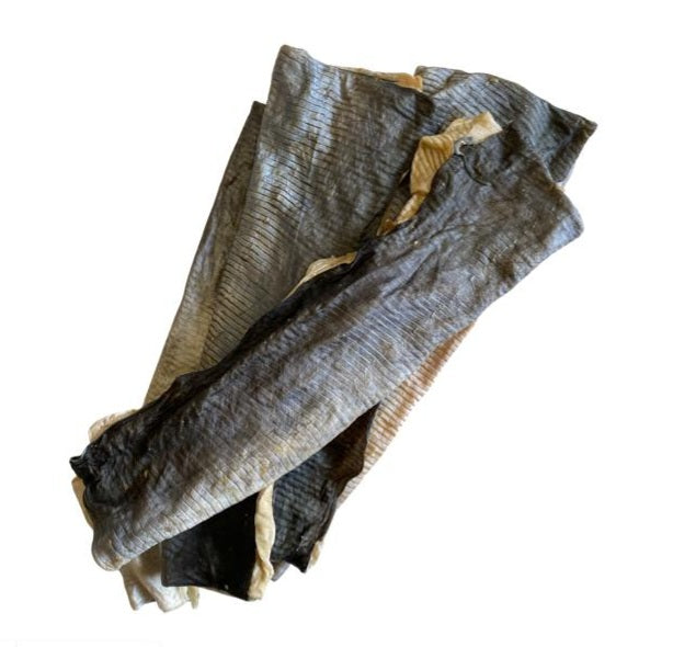 Individual Fish Flatty made from 100% natural fish skin, high-protein rawhide-free dog chew from Amy's Pet Supplies
