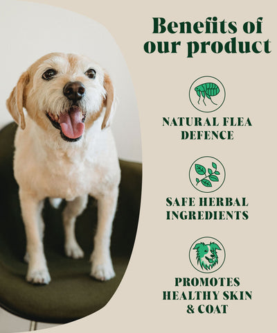 Hackney Dog House - Herbal Flea & Tick Repellent