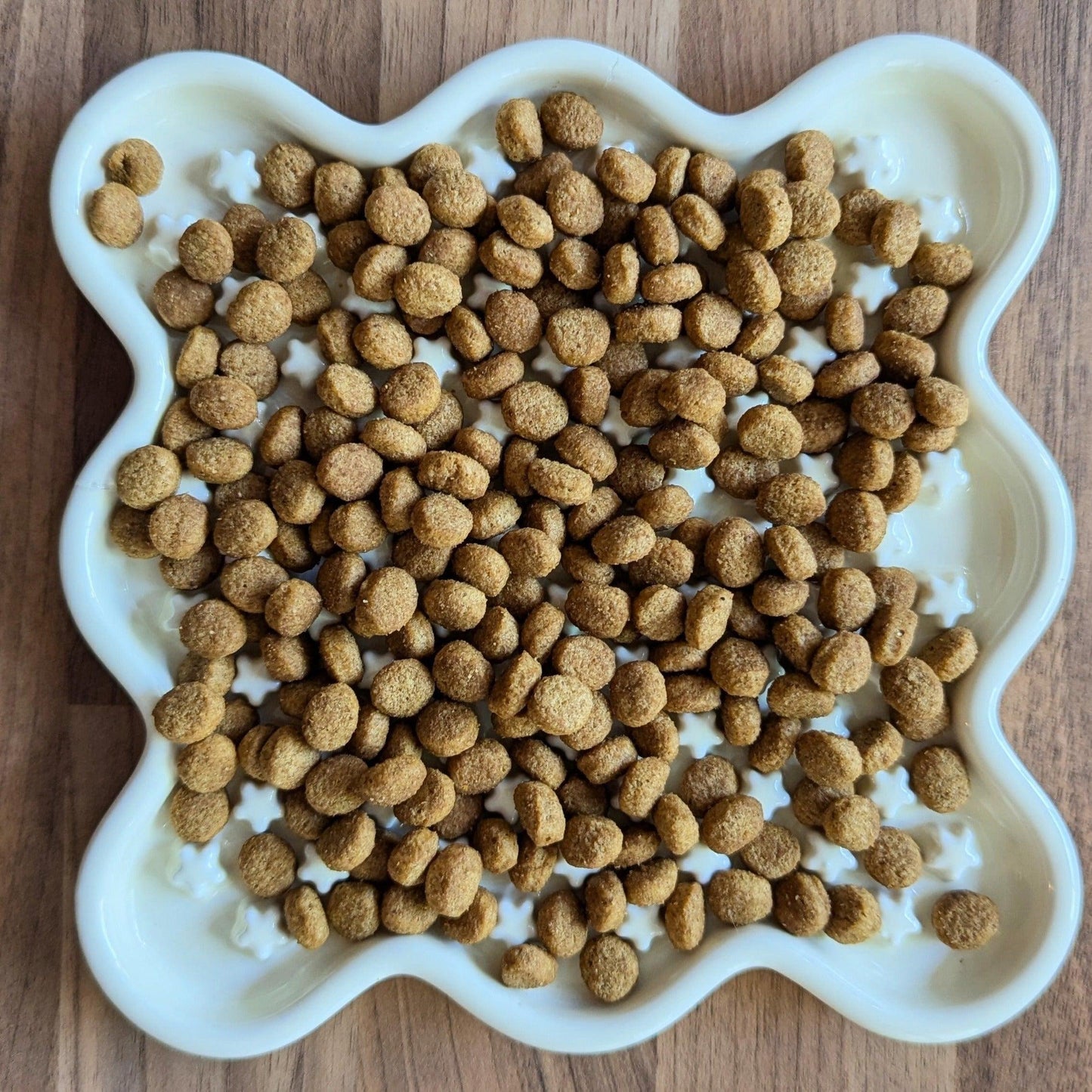 Fussy Cat Ceramic Slow Puzzle Feeder Bowl for Wet, Dry and Raw Cat Food