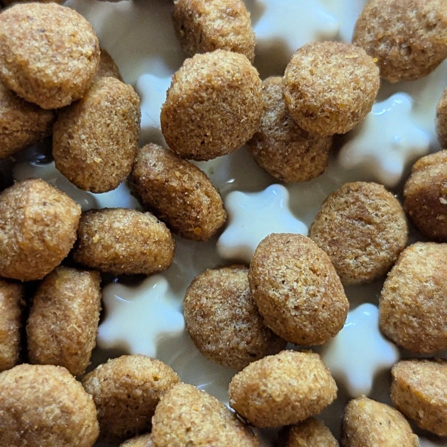 Fussy Cat Ceramic Slow Puzzle Feeder Bowl for Wet, Dry and Raw Cat Food