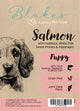 Blake’s Luxury Pet Food Puppy Salmon with Haddock, White Fish, Sweet Potato & Asparagus – grain free complete dog food with joint care pack.