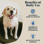 Hackney Dog House - Goats Milk Powder for Dogs & Cats 225g