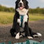 Twiggy Tags Adventure Harness 2.0 – Lagoon