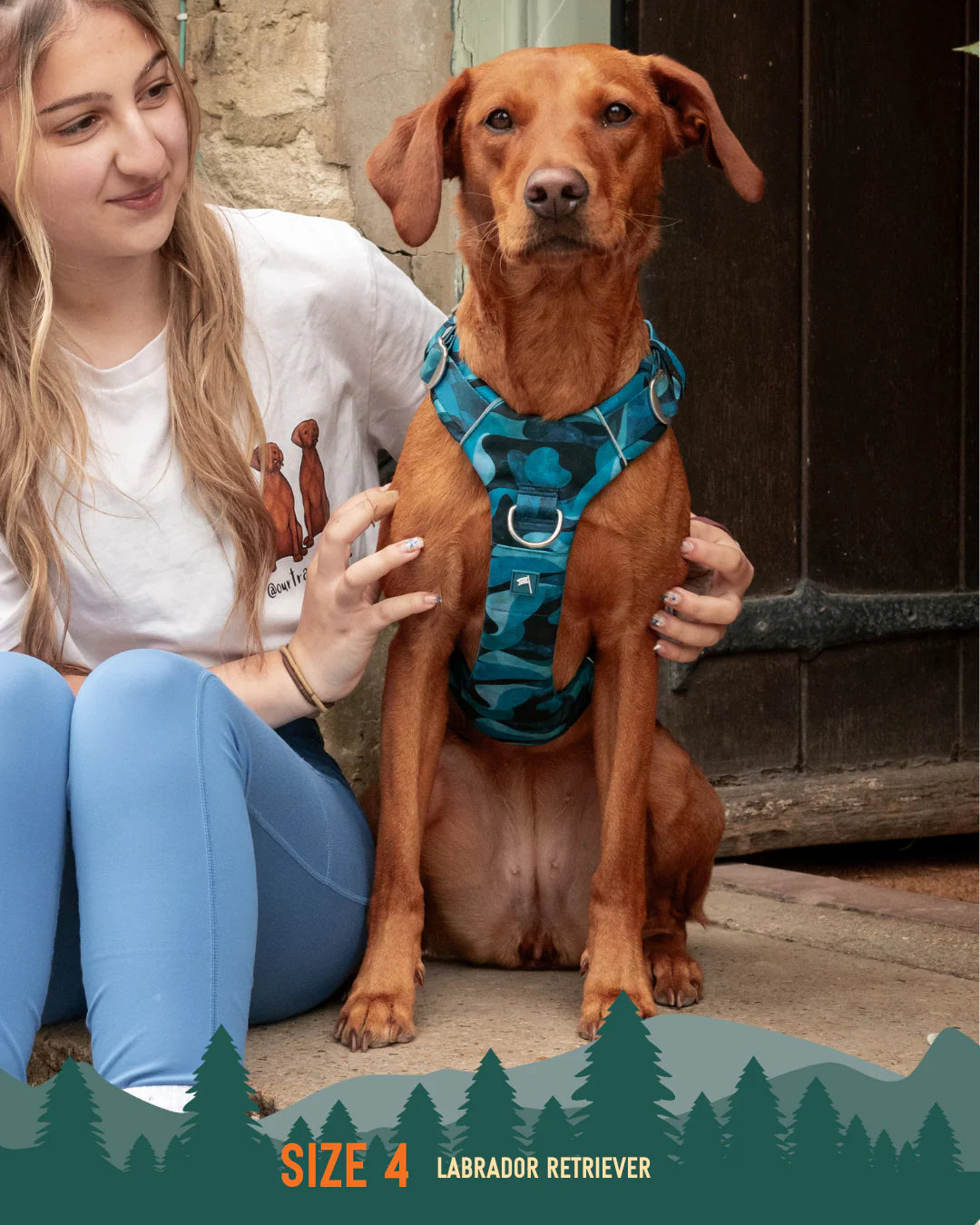 Twiggy Tags Adventure Harness 2.0 – Lagoon