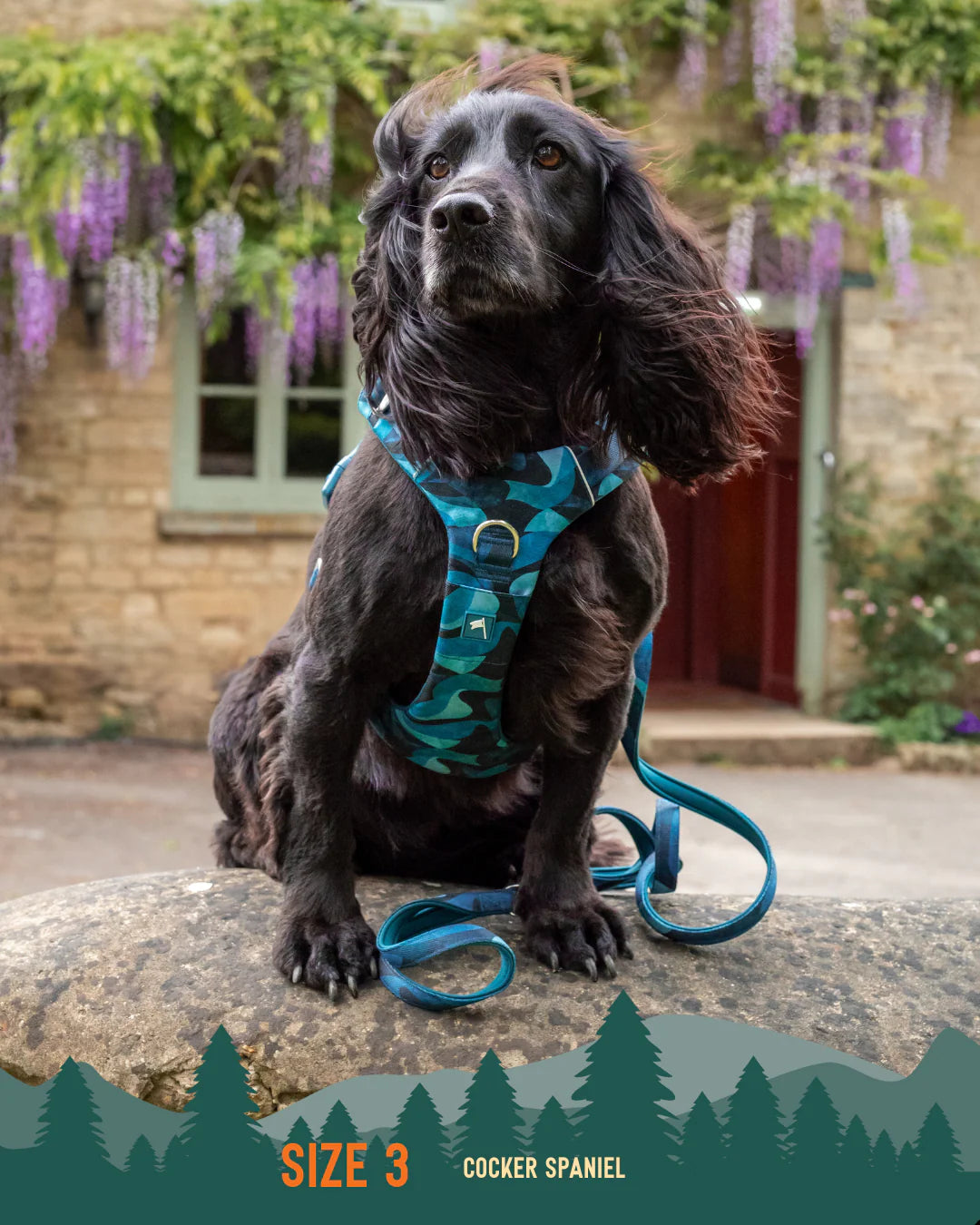 Twiggy Tags Adventure Harness 2.0 – Lagoon