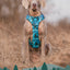 Twiggy Tags Adventure Harness 2.0 – Lagoon
