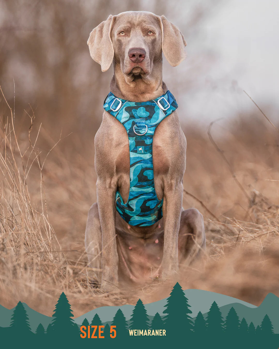 Twiggy Tags Adventure Harness 2.0 – Lagoon