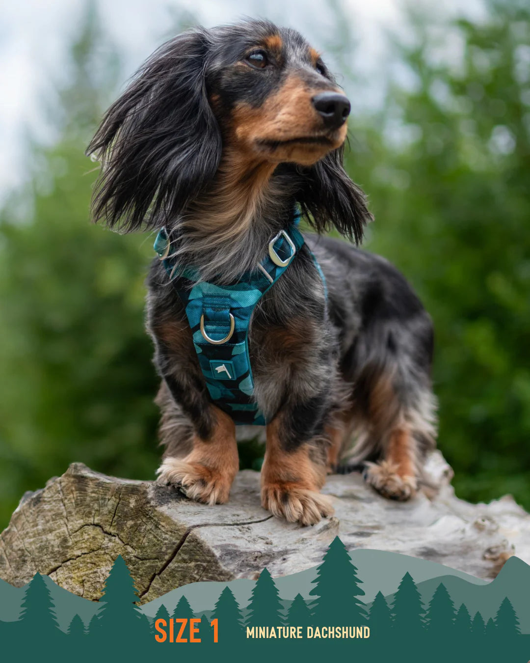 Twiggy Tags Adventure Harness 2.0 – Lagoon