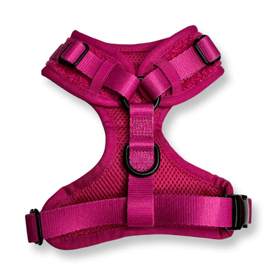 Pup Chic - Hot Stuff Fleece Range- Harnesses, Leads, Etc